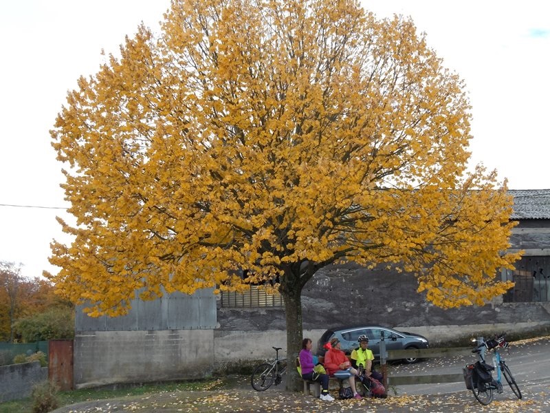 pas_de_photo